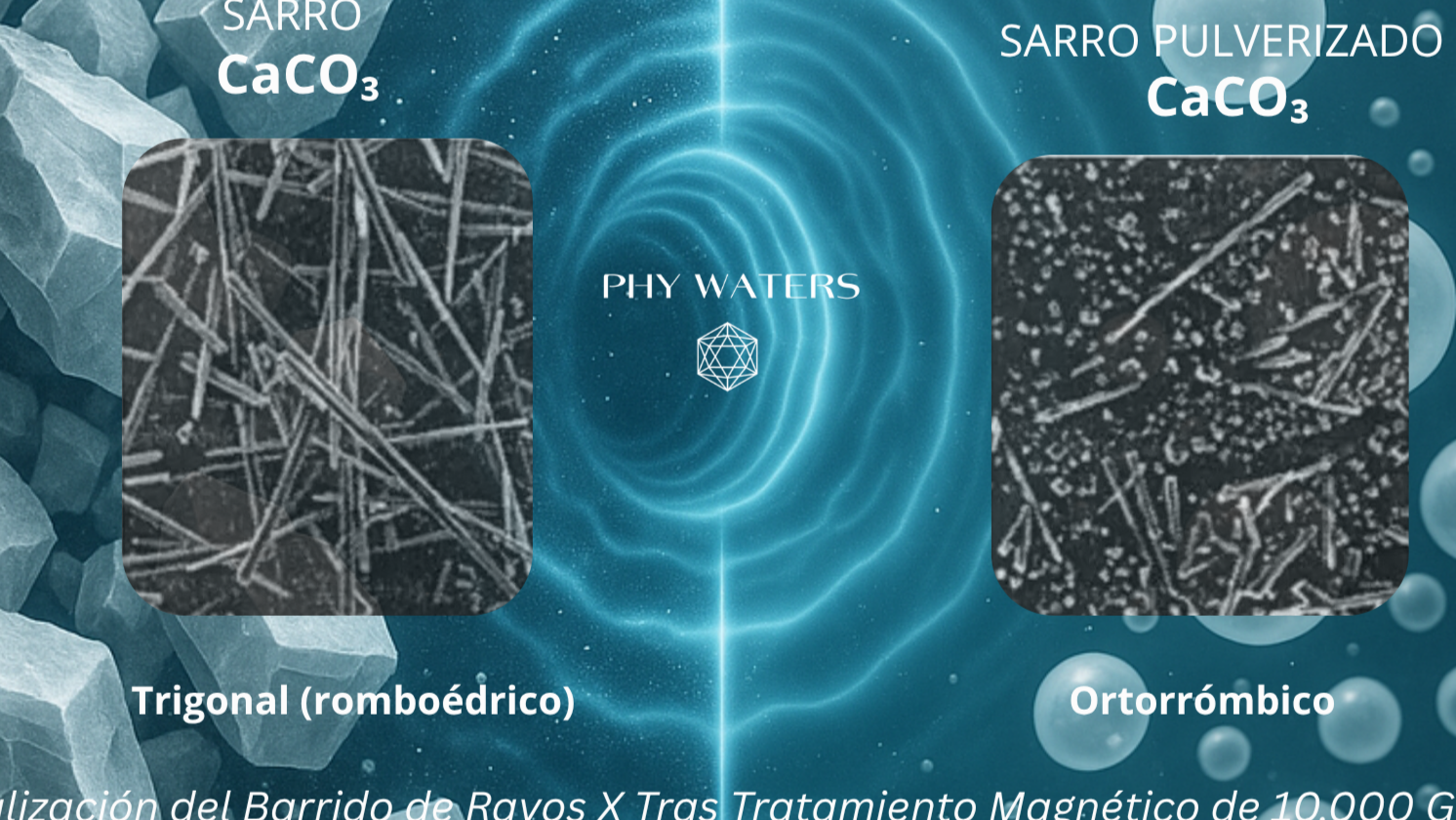PHY WATERS
